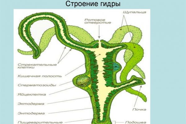 Как зайти на площадку кракен