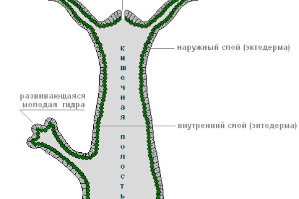 Кракен ссылка на сайт com